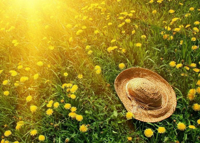 شروع ثبت نام ترم  تابستان 2-97